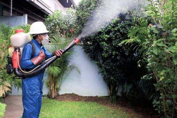 Plan de Saneamiento obligatorio en Ibagué: lo que deben cumplir los establecimientos comerciales