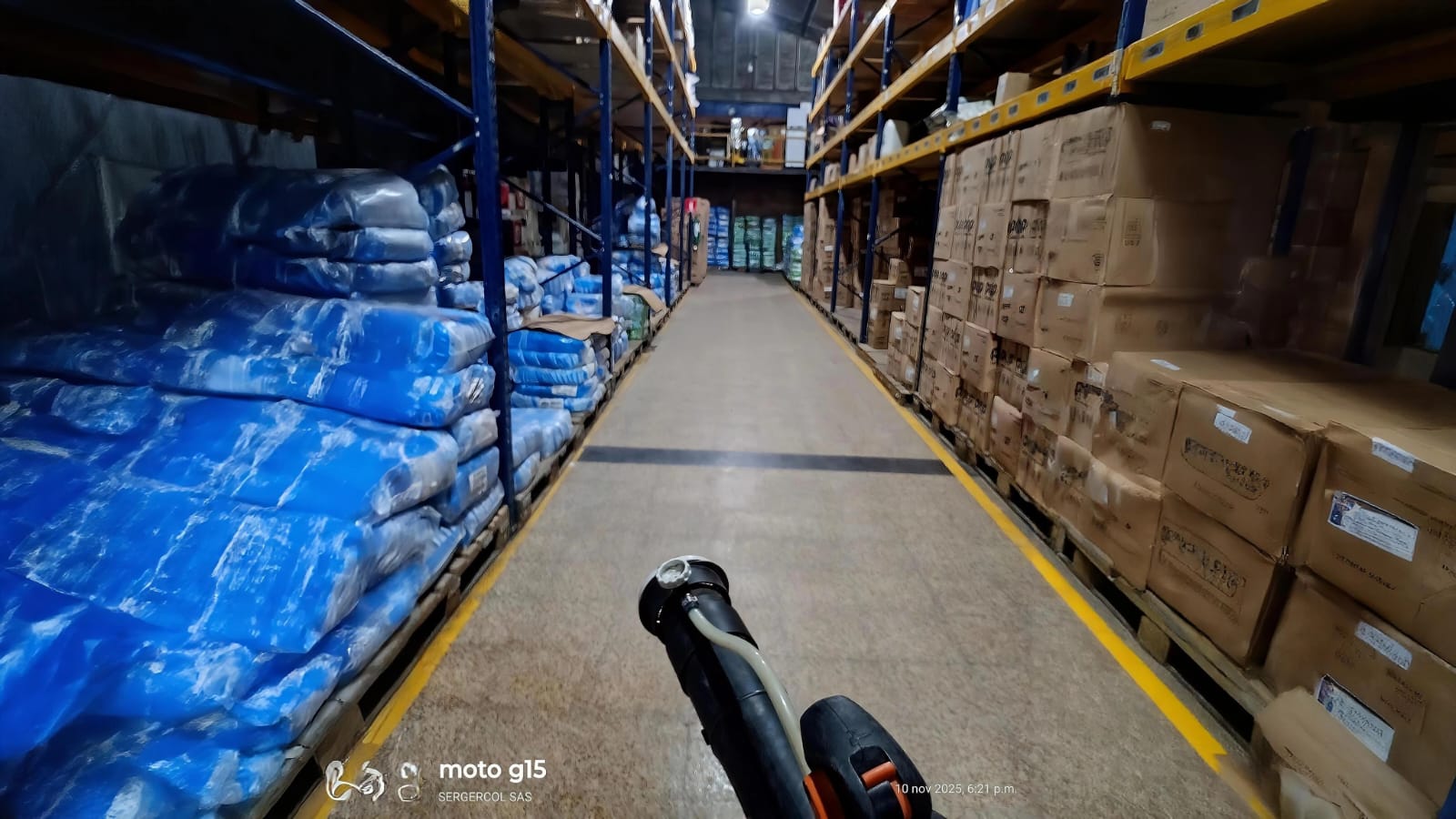 Señales de infestación en bodegas y almacenes